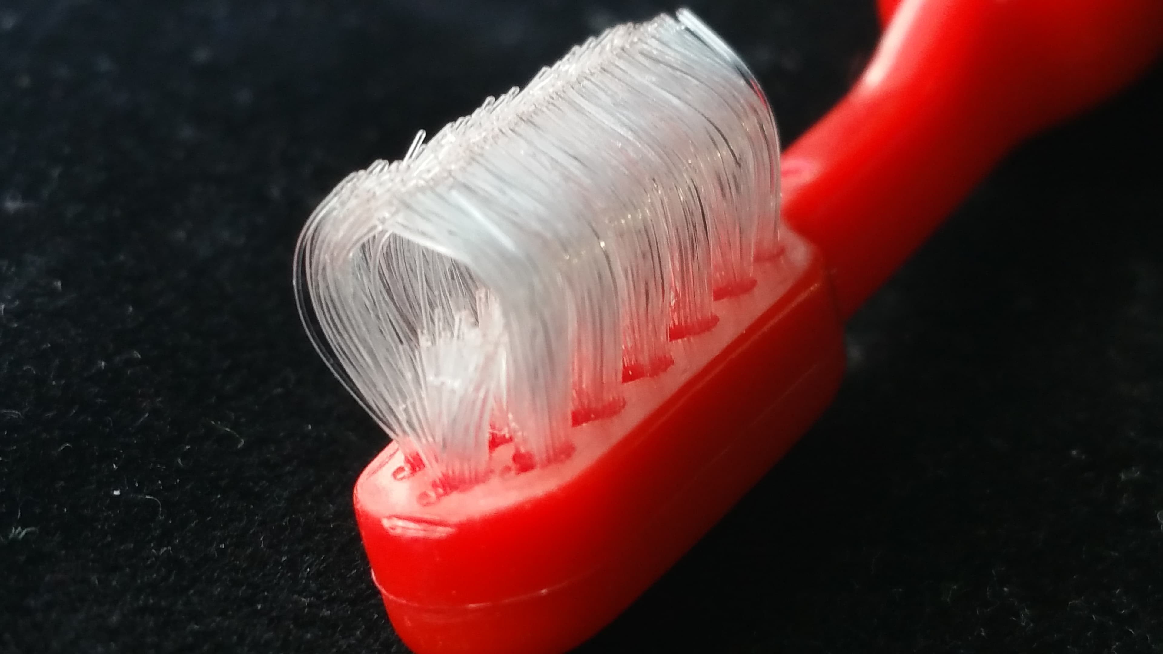 Dental Cleaning